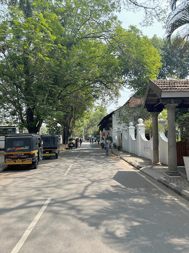 Voyage à Cochin dans le Sud de l’Inde