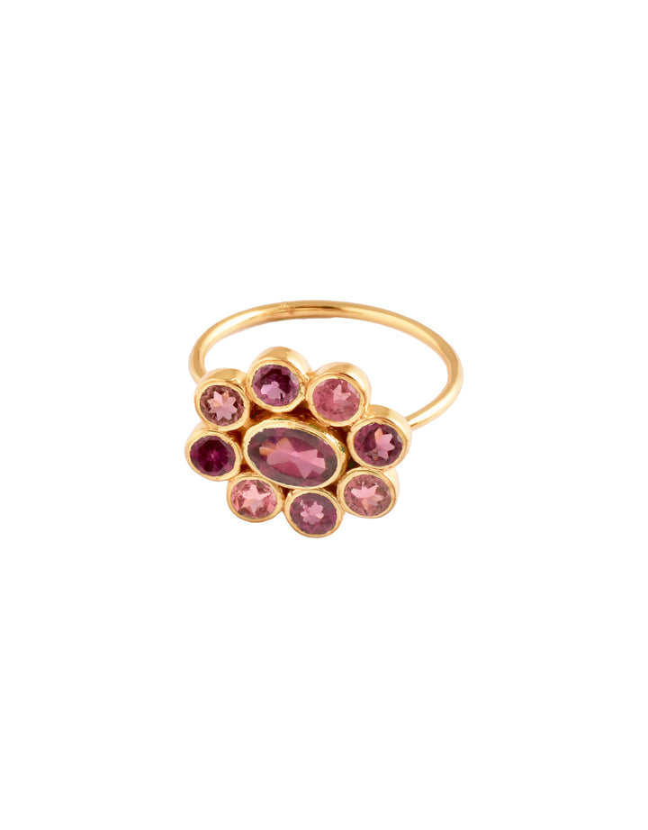 Bague 9 Planètes Rhodolite