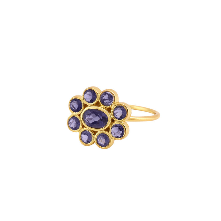 9 Planets Ring 2 Iolite