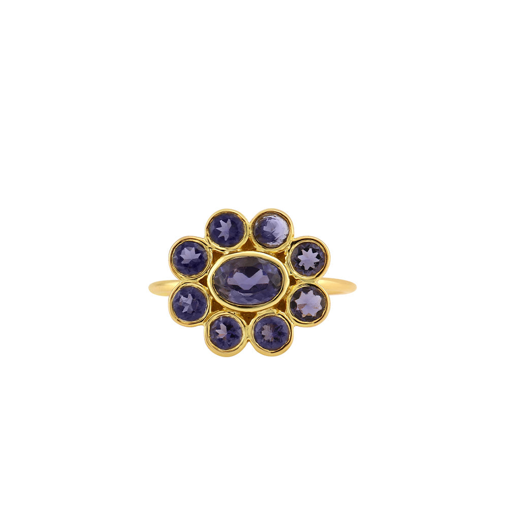9 Planets Ring 2 Iolite