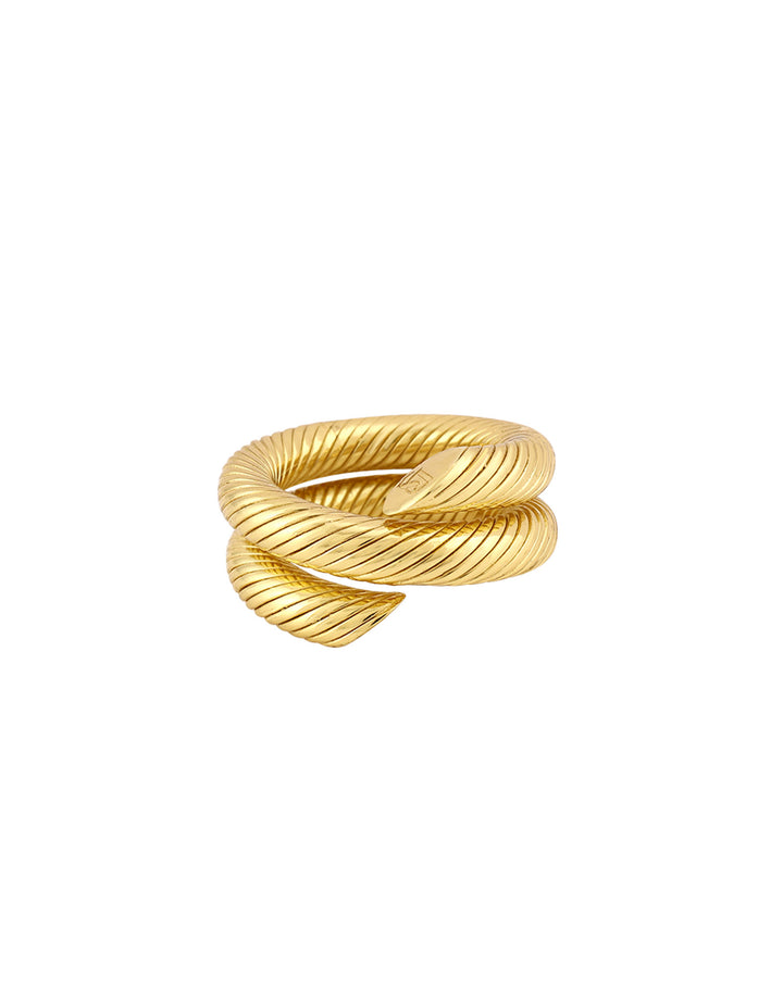 Ring Twisted